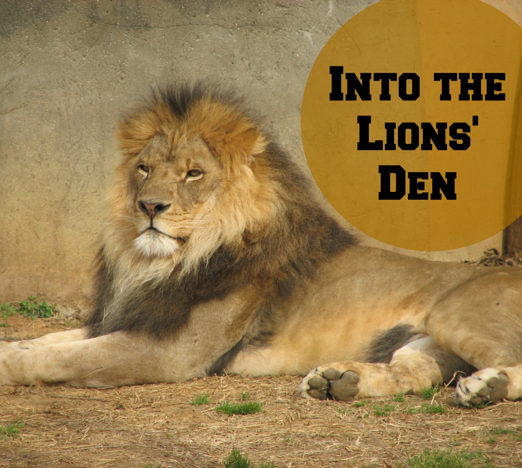 Into the Lions’ Den – What We Can Learn From Daniel